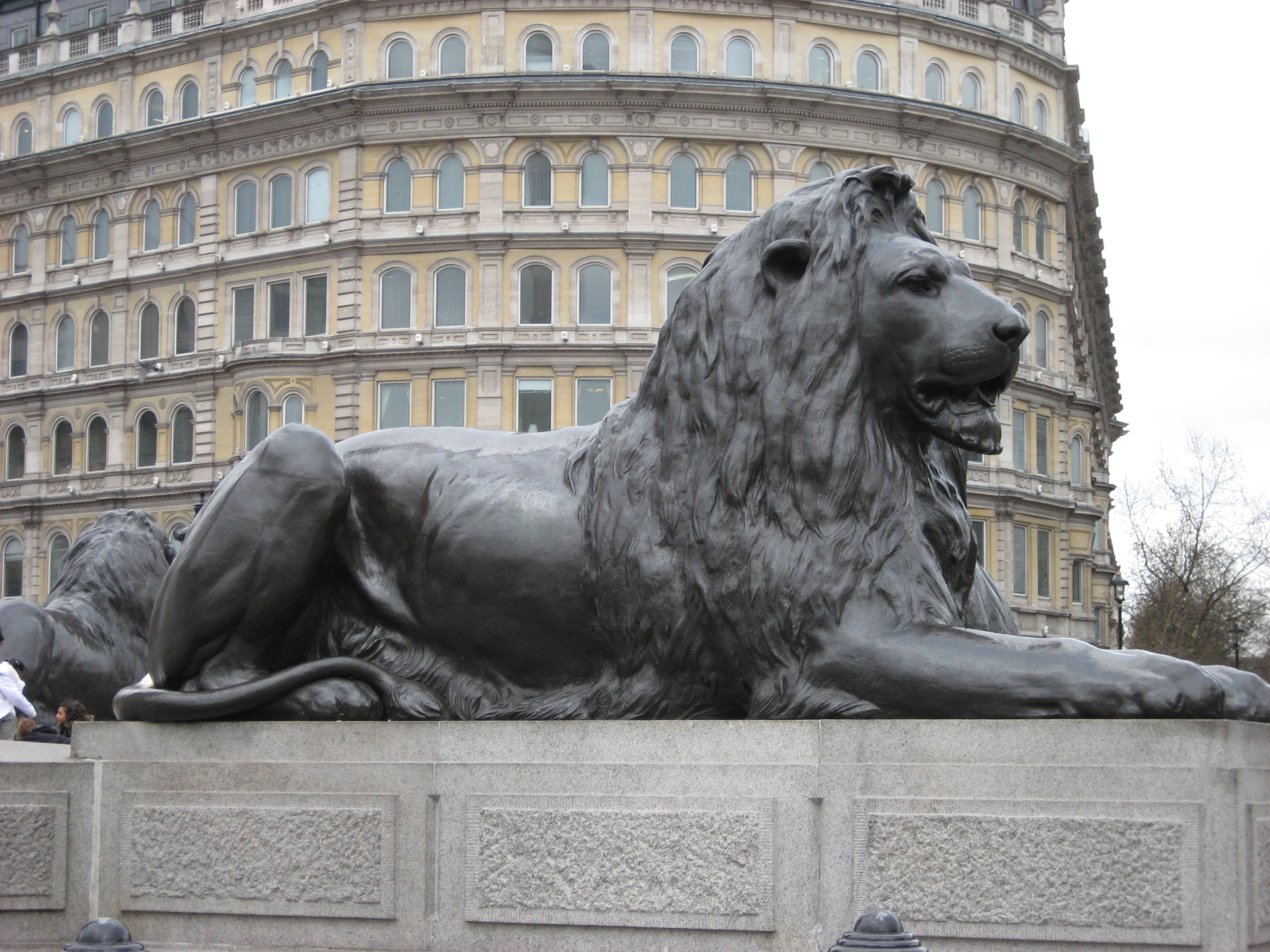 Lion Of Judah